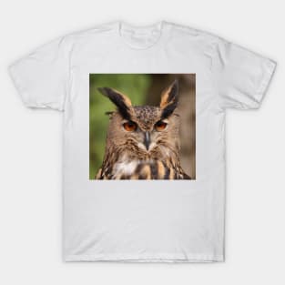 Owl 002 T-Shirt